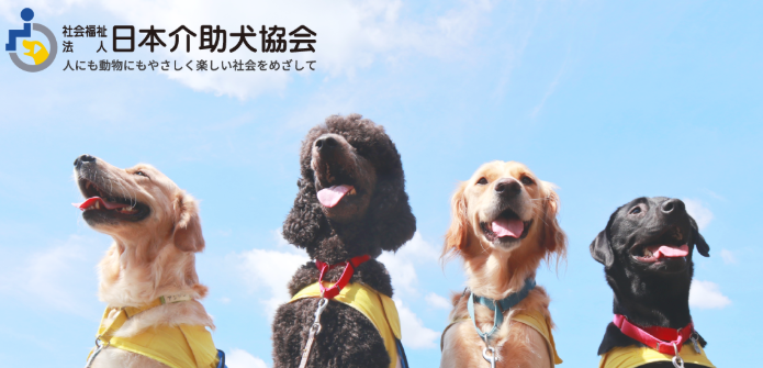 Service Dog Association